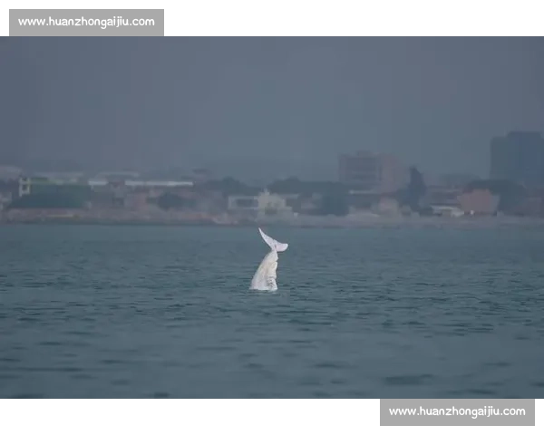 海焰之灵亮相！白海豚跃浪燃动湾区全运激情