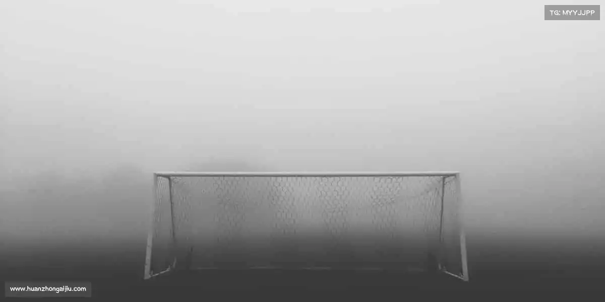 我们的核心竞争力